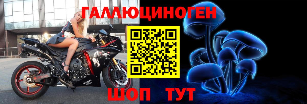Вязники  Псилоцибиновые грибы Magic Shrooms  Вход с VPN 
